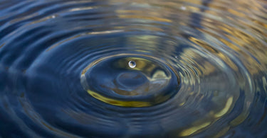Water Saving Week 2025 | 5 Easy Tips to Save Water