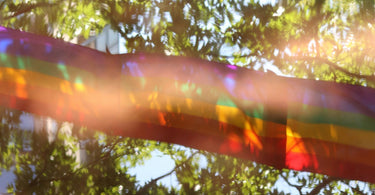 The Intersection of LGBTQ+ Pride and Sustainability