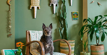 How to Have a More Ethical New Year | Easy Zero-Waste Swaps for Every Room