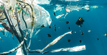 Global Plastic Pollution Facts & Everyday Solutions | Plastic Free July