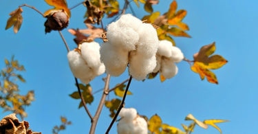 Eco-Friendly Materials Explained | What Makes Homeware and Jewellery Truly Sustainable?