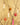 Decorative ornaments hanging on a branch against a beige background