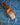 Wooden scoop filled with oatmeal on a blue and white patterned tile background