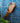 Terracotta scoop filled with oatmeal against a blue wavy tile background