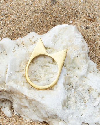 Signature Mamba Polished Brass Ring-Ring-AARVEN