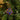 Zimbabwean Beaded Tree Decoration 'Trees'-Decoration-AARVEN