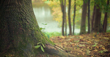 How to Spend More Time Outdoors in Winter