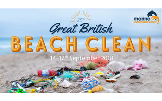 great british beach clean 2018