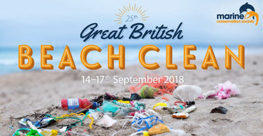 great british beach clean 2018