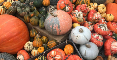 Our Top Tips For a Sustainable Halloween