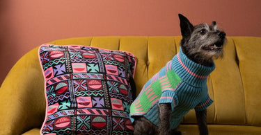 Top Tips For Being a More Sustainable Pet Owner