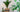 Top Energy Saving Tips to Reduce Your Footprint | Big Energy Saving Week