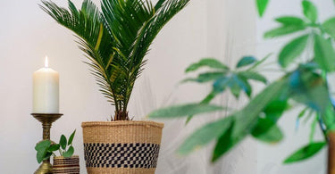 Top Energy Saving Tips to Reduce Your Footprint | Big Energy Saving Week
