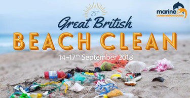 great british beach clean 2018