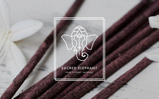 Introducing Sacred Elephant