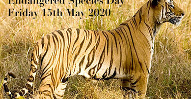 EVENT | ENDANGERED SPECIES DAY 2020