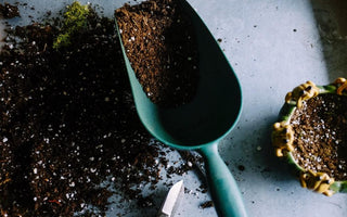 How to be a More Sustainable Gardener | Gardening Week 2022