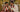 Congratulations Dhara! | A Traditional Indian Wedding