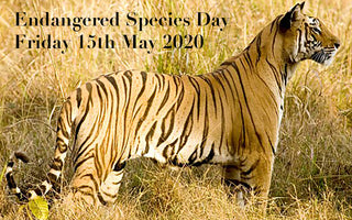 EVENT | ENDANGERED SPECIES DAY 2020