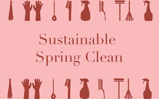 SUSTAINABILITY | THE NEW SPRING CLEAN