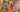 The Holly Tucker Edit