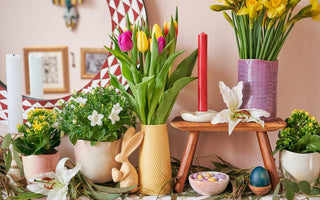 Easy Ways to Refresh Your Home Decor for Spring