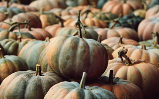 Tips For a Green Halloween | Eco Friendly Halloween Celebrations