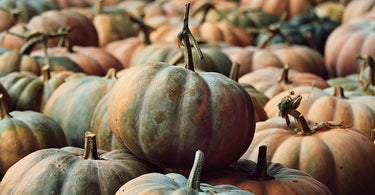 Tips For a Green Halloween | Eco Friendly Halloween Celebrations