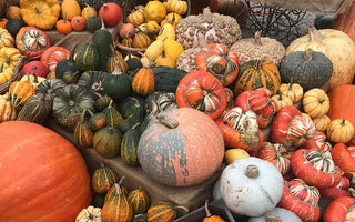 Sustainable Ways to Use a Pumpkin | National Pumpkin Day