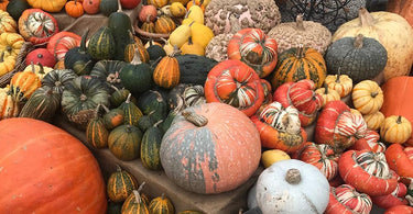 Sustainable Ways to Use a Pumpkin | National Pumpkin Day