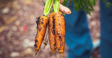 What is Organic? | Organic September