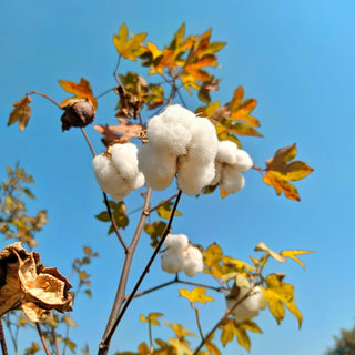 Eco-Friendly Materials Explained | What Makes Homeware and Jewellery Truly Sustainable?