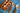 Indian Gamhar Wooden Utensil Collection
