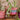 Pink, Purple & Red Baskets