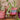 Shop All Baskets