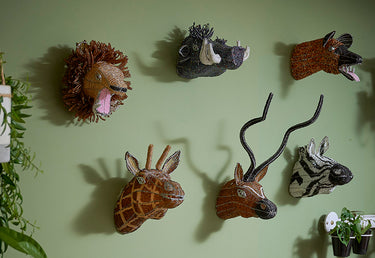 Animal Heads