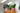 The Houseplant Collection