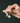 Hand holding gold earrings with star and moon designs against a dark background