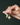 Hand holding gold earrings with star and moon designs against a dark background