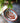PRE-ORDER Jaipur Hand Painted Indian Soap Dish 'Coral'