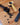 Black and wooden measuring spoons with coffee beans on a wooden surface