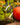 Gold bracelet on a stone surface with greenery and a pumpkin in the background