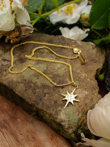 Gold necklace with a star pendant on a stone surface with flowers in the background