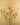 Decorative tree branch with colourful ornaments against a beige wall