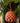 Ghanaian Handwoven Hanging Ornament 'Red Check'