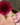 Gold ring on a finger with a pink flower in the background
