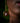 Ghanaian Pendulum Drop Earrings 'Orange and Blue Floral'-Earrings-AARVEN