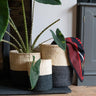 Kenyan Sisal Basket 'Charcoal and Natural' Set-Storage Basket-AARVEN