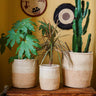 Kenyan Sisal Basket 'Sand and Natural' Set of Three-Storage Basket-AARVEN