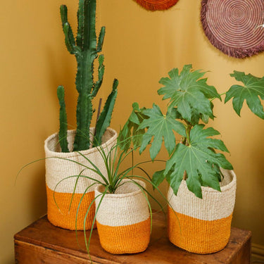 Kenyan Sisal Basket 'Turmeric and Natural' Set of Three-Storage Basket-AARVEN